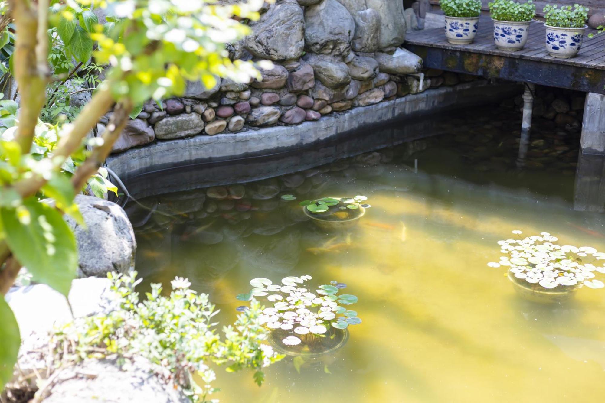 Butterfly Flowers Inn 장가계 외부 사진